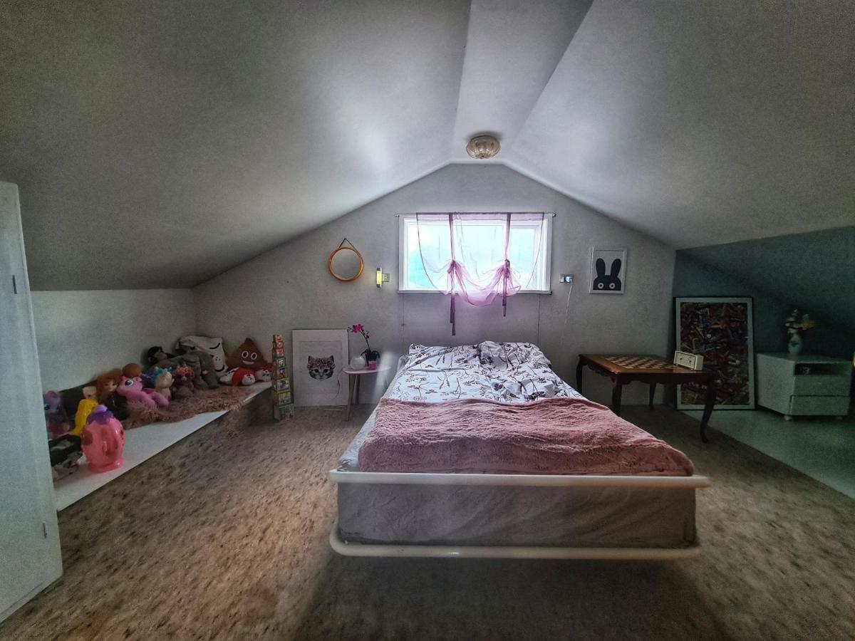 Holkot Scenic Farm Villa Húsavík Buitenkant foto