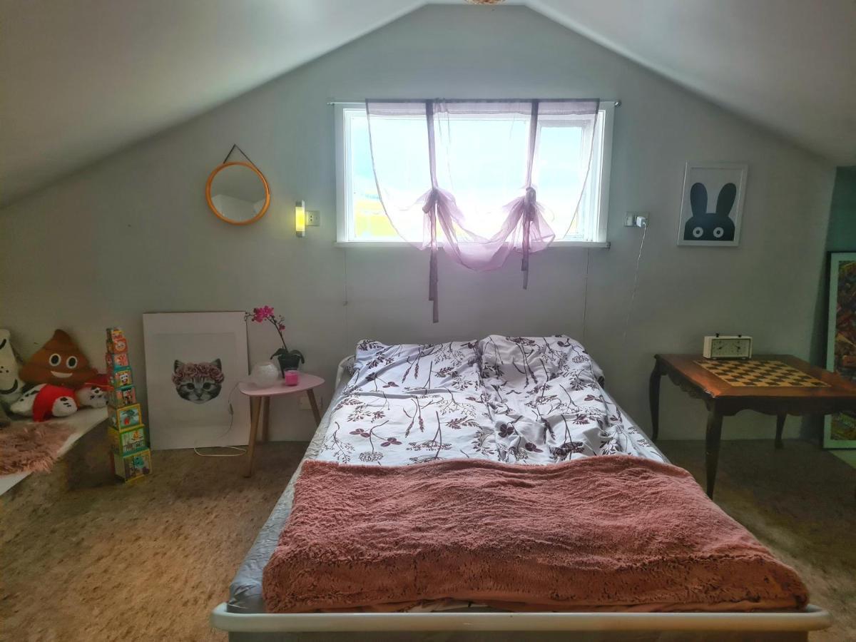 Holkot Scenic Farm Villa Húsavík Buitenkant foto
